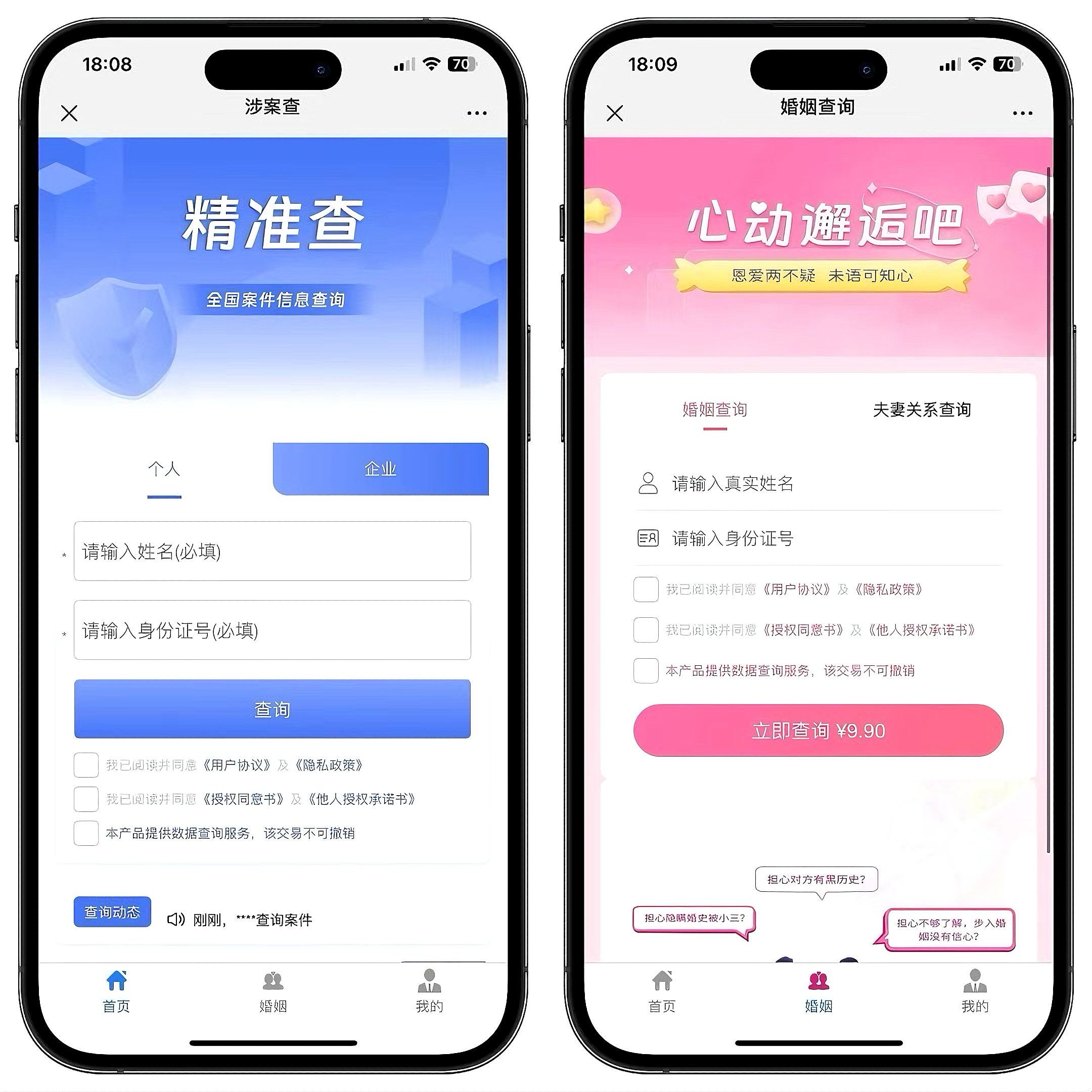 精准查系统-主题网